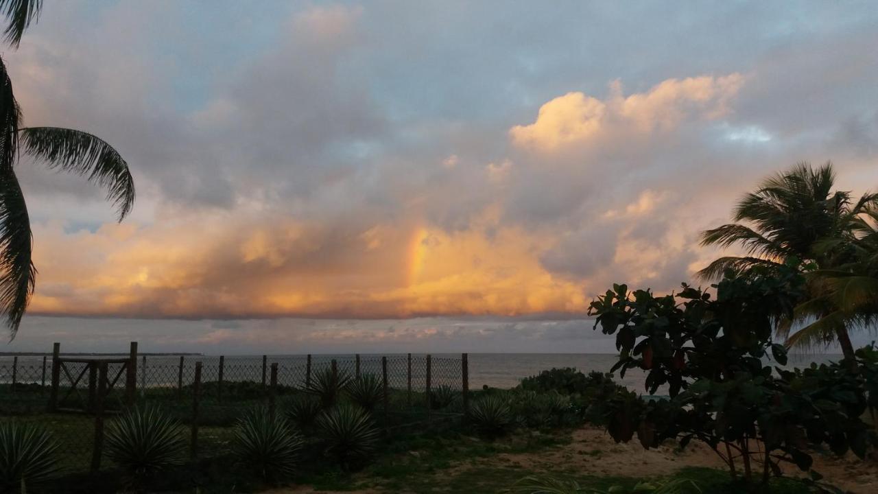Bungalow Frente A Praia Itacimirim Exteriér fotografie